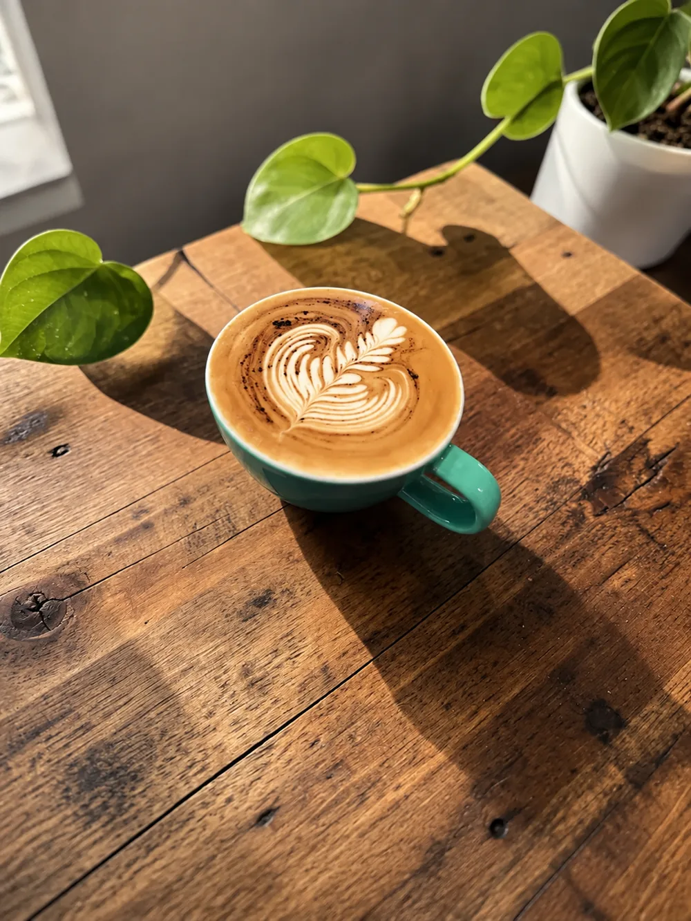 A green cup of coffee with latte art by a sunlit plant